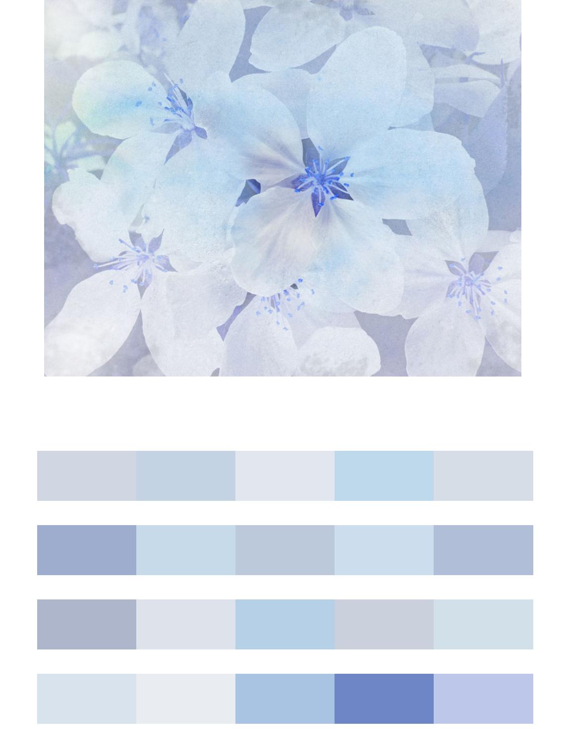 Синие цветы в дымке цвета