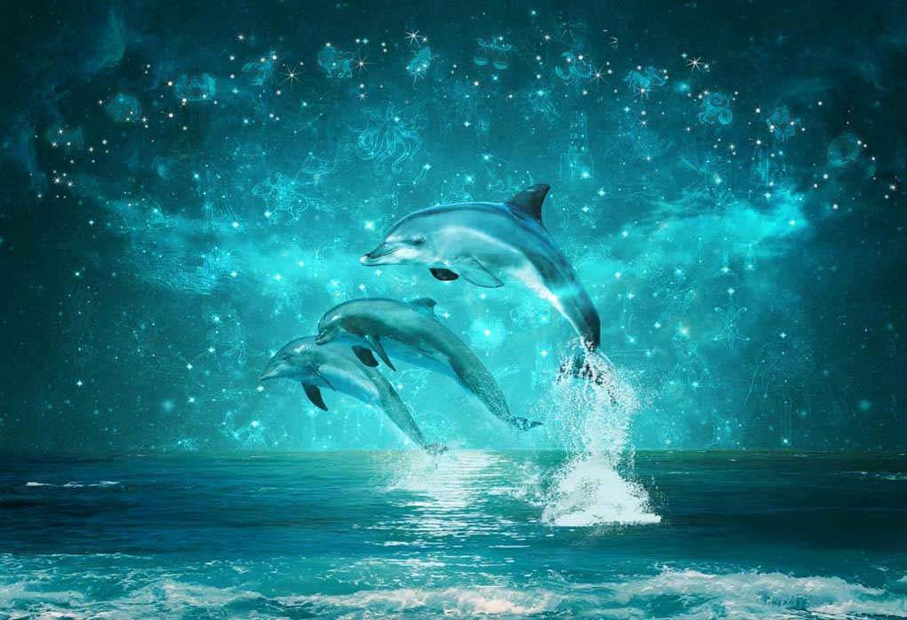 Фотообои Завораживающие дельфины