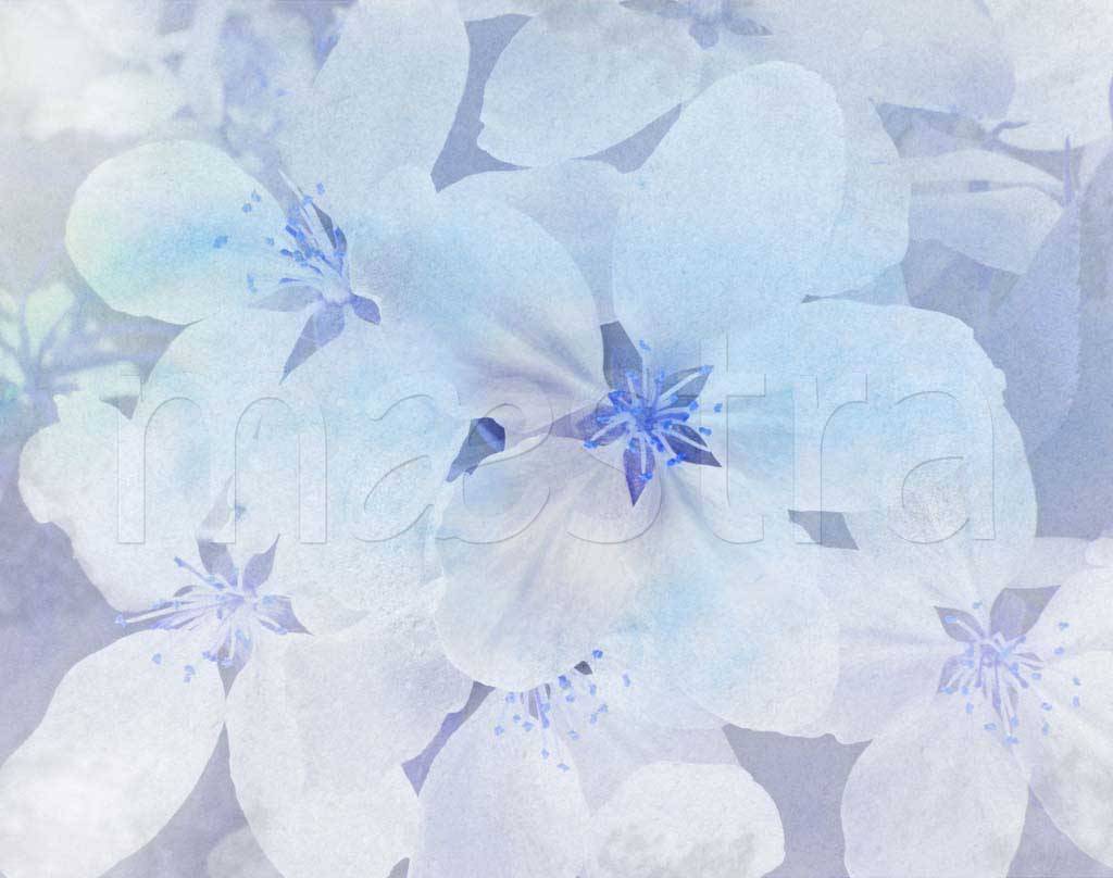 Фотообои Синие цветы в дымке